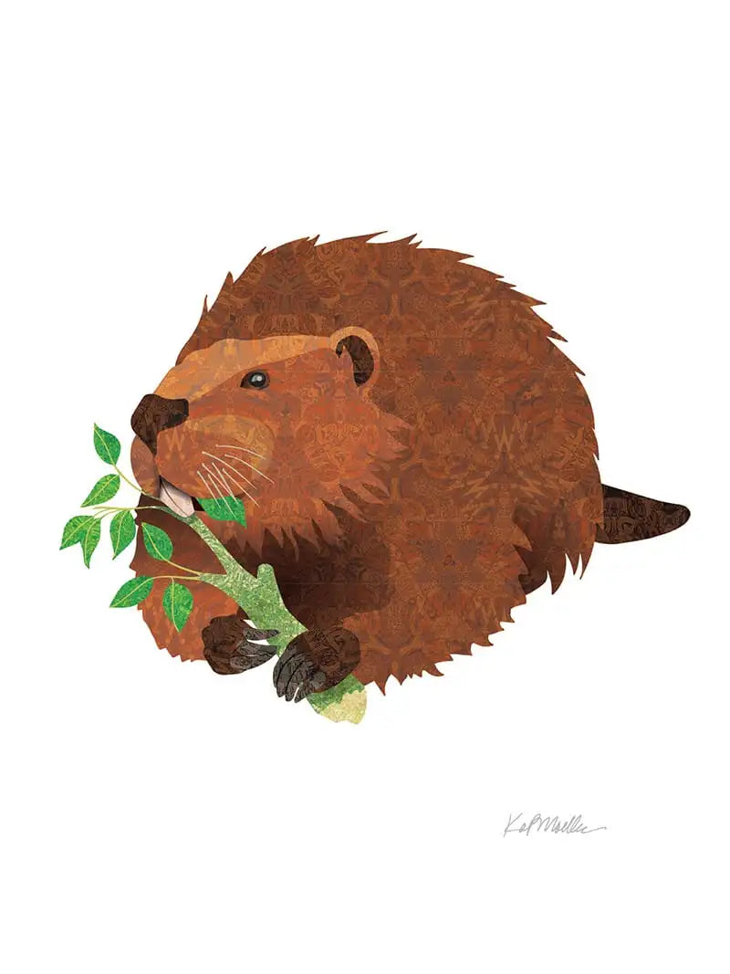 Michigan Boxed Note Cards - Furry Friends