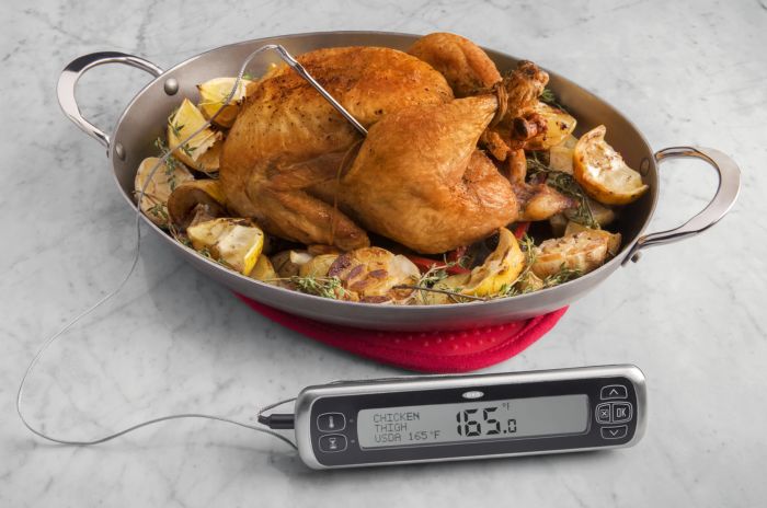 OXO Good Grips Chef's Precision Leave-In Analog Meat Thermometer